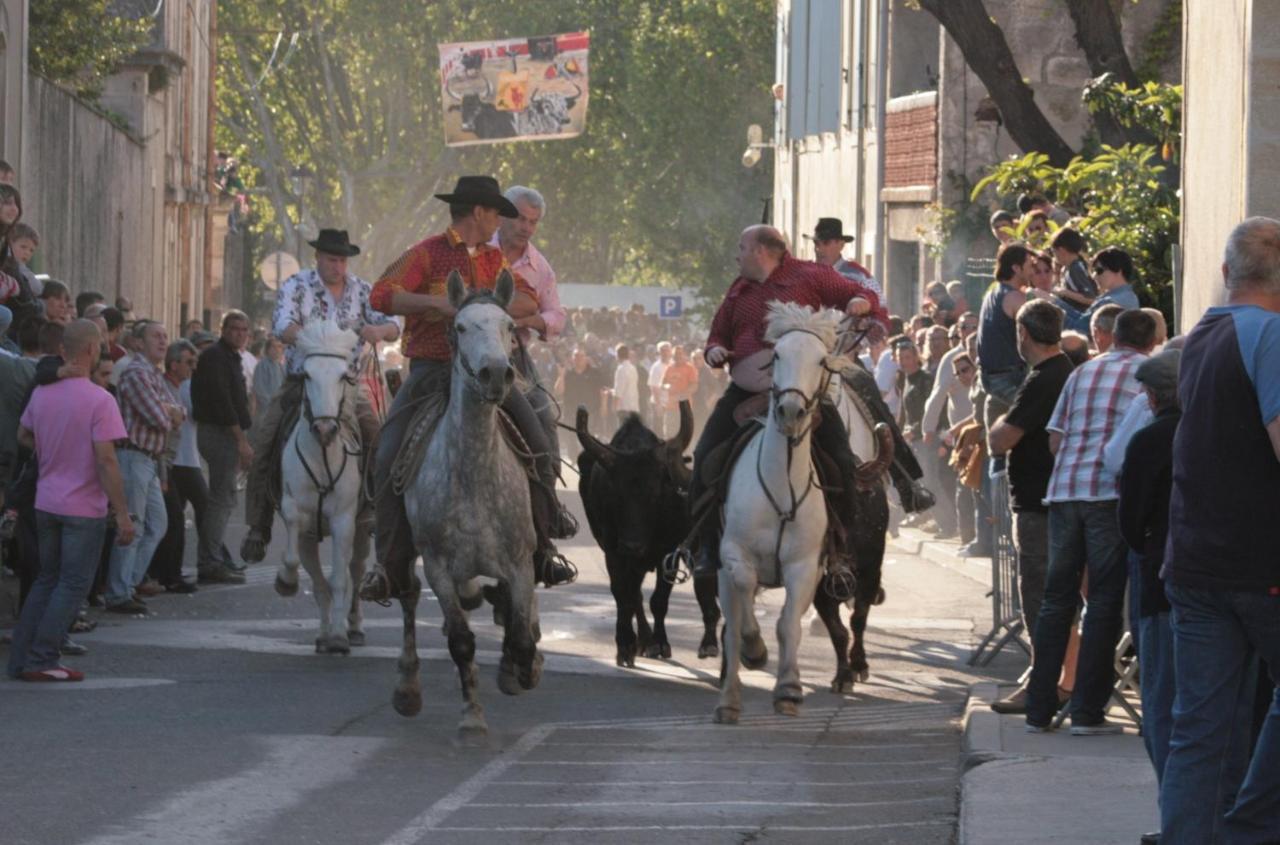 Gite De Vacances En Camargue ☆☆Nn Вовер Екстер'єр фото