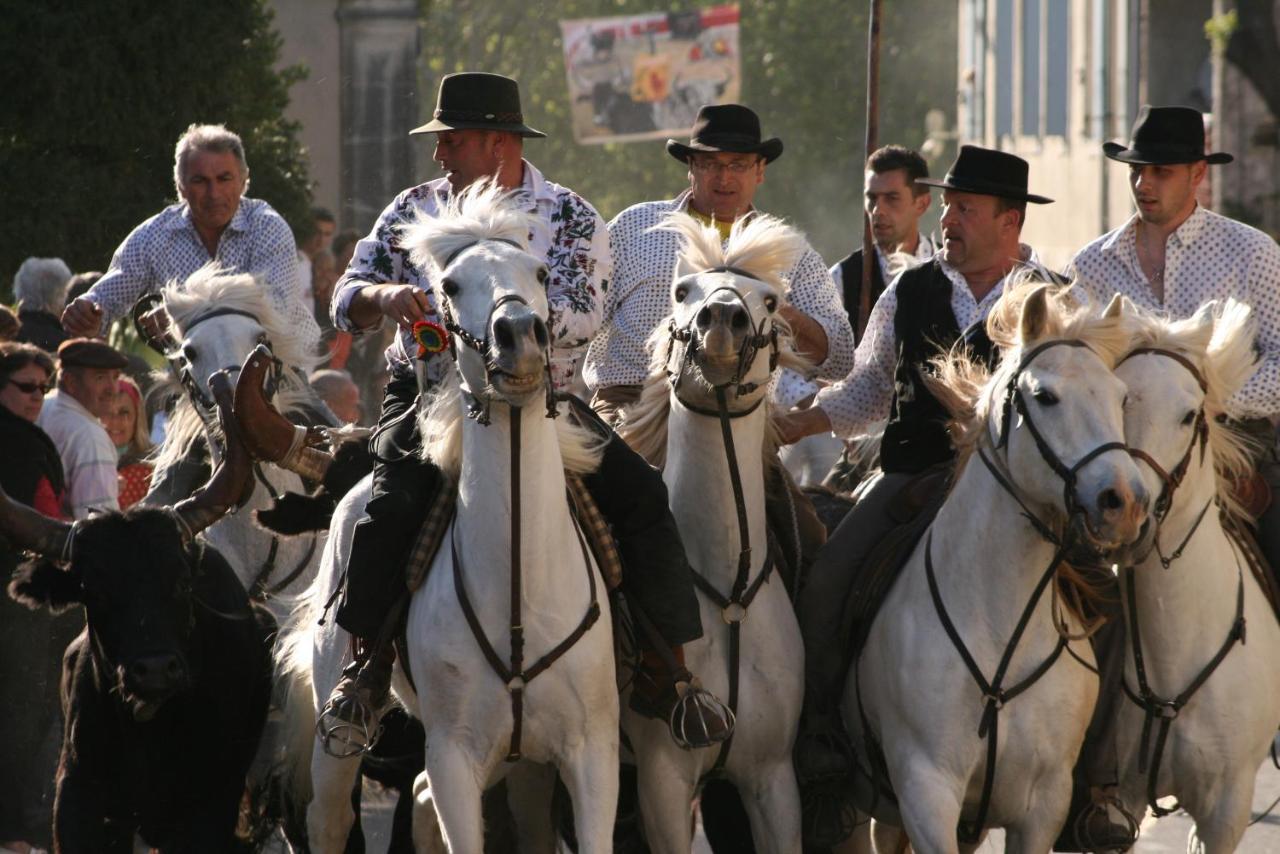 Gite De Vacances En Camargue ☆☆Nn Вовер Екстер'єр фото